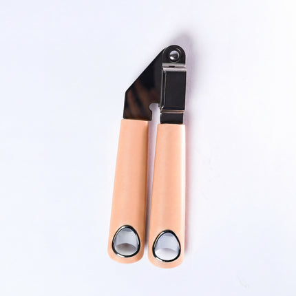 Casasunco Stainless Steel Garlic Press – BEIJ